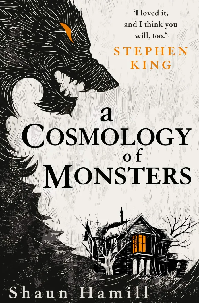A Cosmology of Monsters