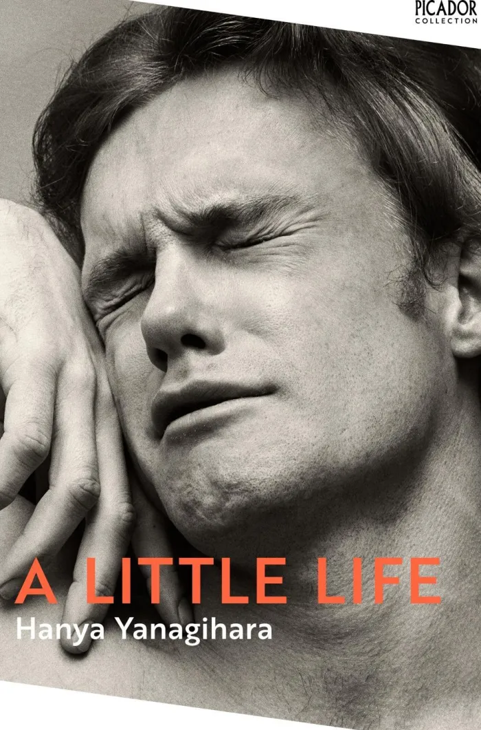 A Little Life