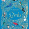 An Anthology of Exquisite Birds: Discover the Beauty of the Avian World