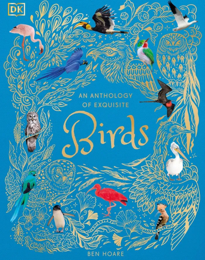 An Anthology of Exquisite Birds: Discover the Beauty of the Avian World