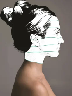 Anatomy for Artists: A visual guide to the human form