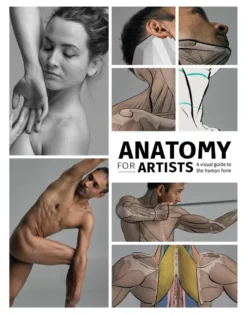 Anatomy for Artists: A visual guide to the human form
