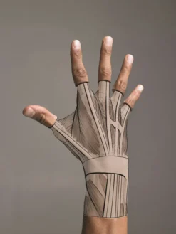 Anatomy for Artists: A visual guide to the human form