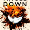Angel Down: Winner of the 2026 Pulitzer Prize for Fiction