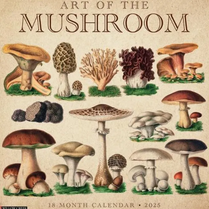 Art of the Mushroom 2026 Wall Calendar