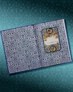 A Series of Unfortunate Events: #1 The Bad Beginning (Deluxe Limited Edition)