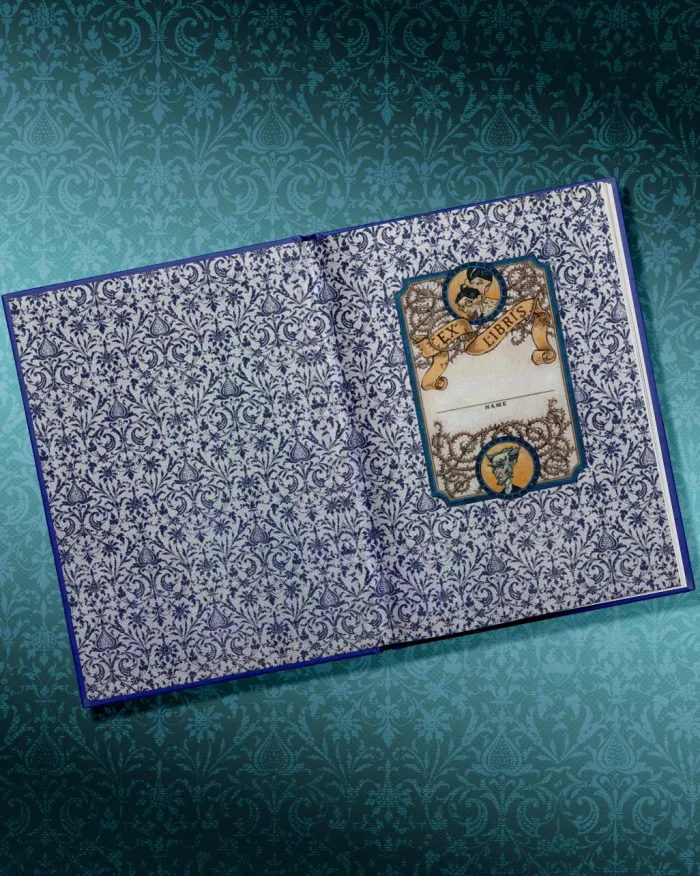 A Series of Unfortunate Events: #1 The Bad Beginning (Deluxe Limited Edition)