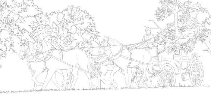 BBC Pride and Prejudice: The Official Coloring Book