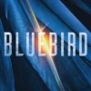 Bluebird