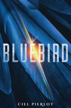 Bluebird