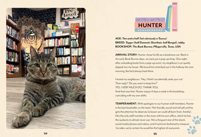 Bookshop Cats