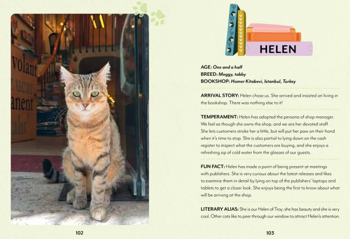Bookshop Cats