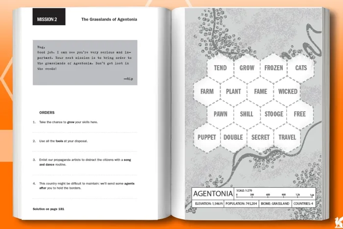 Bordergrams: 80 Secret Spy Connection Puzzles from the Bestselling Author of Murdle