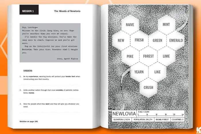 Bordergrams: 80 Secret Spy Connection Puzzles from the Bestselling Author of Murdle