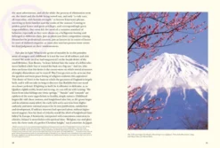 Bushido Illustrated: The Soul of Japan