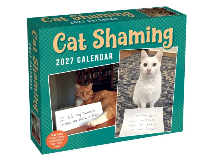 Cat Shaming 2027 Day-to-Day Calendar