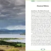 Celtic Magic Book & Card Deck: Includes a 50-Card Deck and a 128-Page Guide Book (Arcturus Oracle Kits)