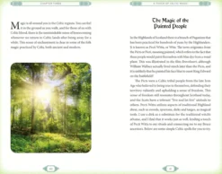 Celtic Magic Book & Card Deck: Includes a 50-Card Deck and a 128-Page Guide Book (Arcturus Oracle Kits)