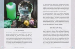 Celtic Magic: Spellcrafting with the Gods and Goddesses of the Celtic Tradition