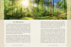 Celtic Magic: Spellcrafting with the Gods and Goddesses of the Celtic Tradition