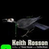 Crone: A Novel