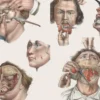 Crucial Interventions: An Illustrated Treatise on the Principles & Practice of Nineteenth-Century Surgery.