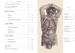 Crucial Interventions: An Illustrated Treatise on the Principles & Practice of Nineteenth-Century Surgery.