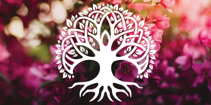 Daily Healing: Cards for awakening your best self