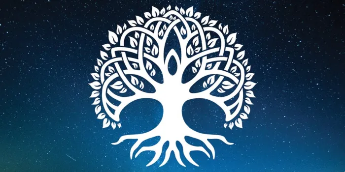 Daily Healing: Cards for awakening your best self