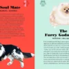 Dog Pawsonality Test: What our canine friends are really thinking