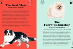 Dog Pawsonality Test: What our canine friends are really thinking
