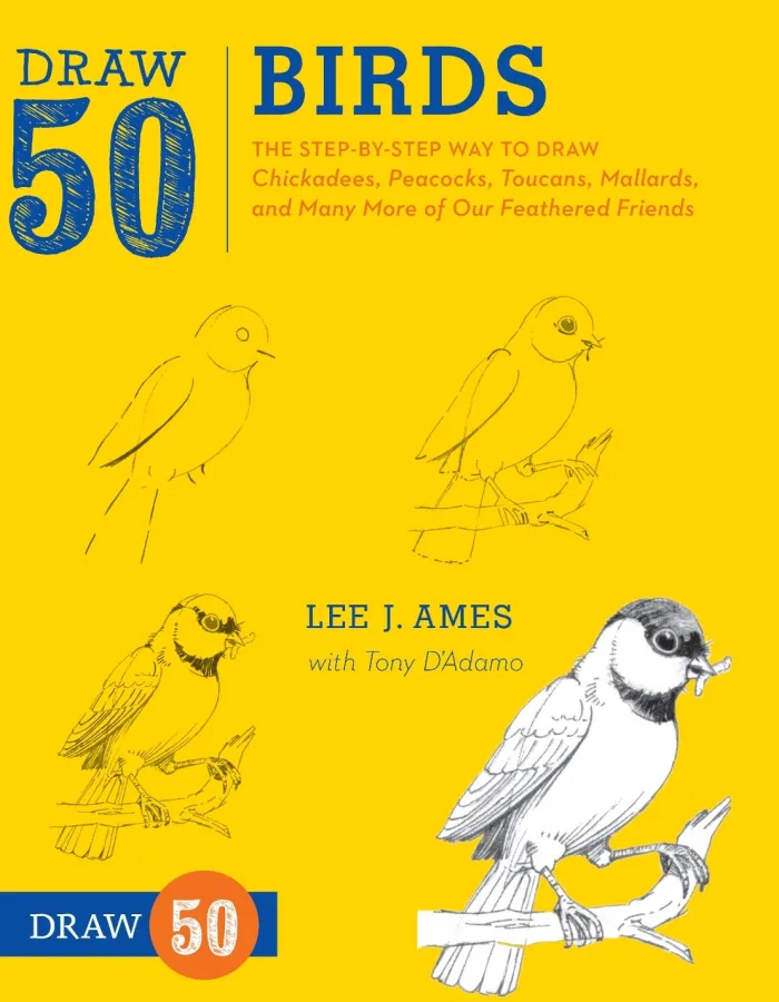 Draw 50 Birds