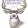 Drawing Wildlife