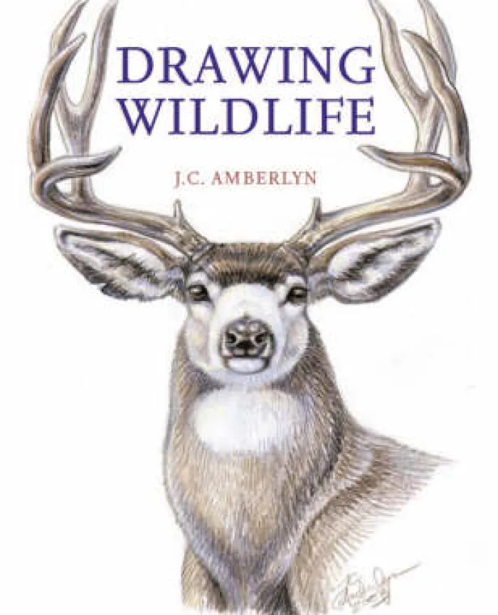 Drawing Wildlife