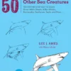 Draw 50 Sharks, Whales, and Other Sea Creatures