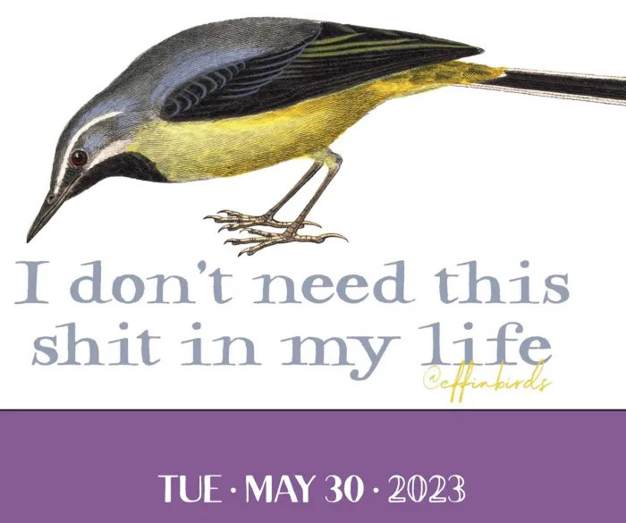 Effin' Birds 2023 Day-to-Day Calendar