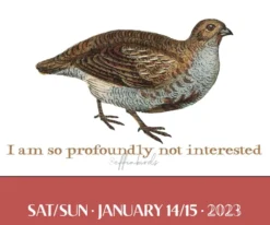 Effin' Birds 2023 Day-to-Day Calendar