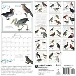 Effin' Birds 2023 Wall Calendar