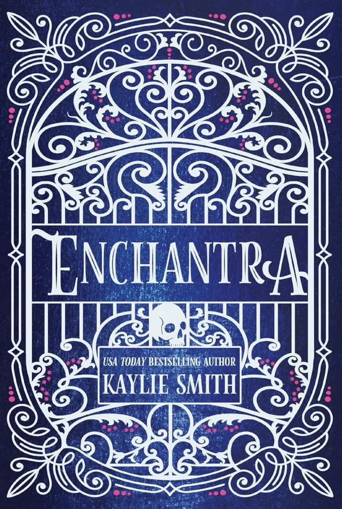 Enchantra: A spicy fantasy romance