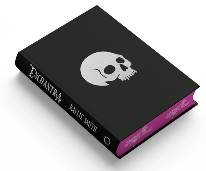 Enchantra: A spicy fantasy romance