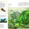 Fantastic Beasts: The Wonder of Nature: Amazing Animals and the Magical Creatures of Harry Potter and Fantastic Beasts