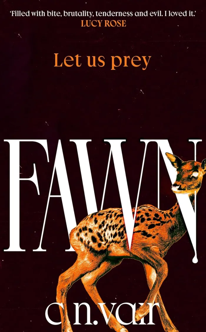 Fawn