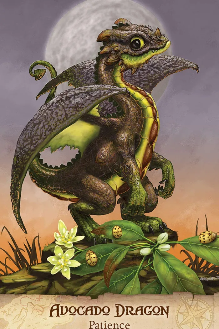 Field Guide To Garden Dragons