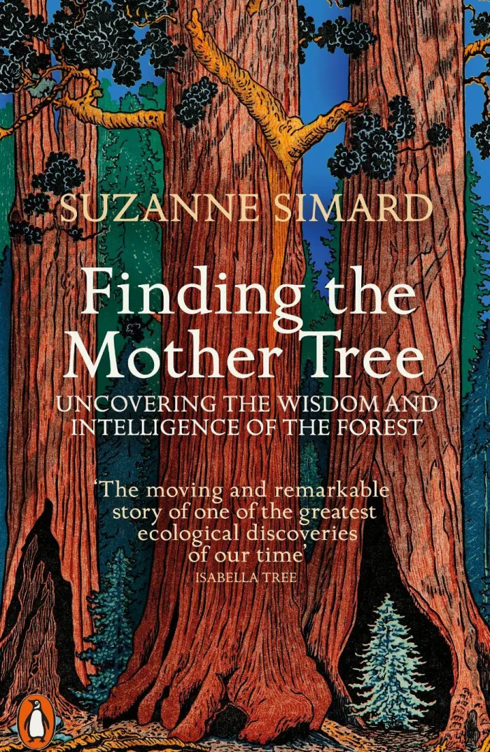 Finding the Mother Tree: Uncovering the Wisdom and Intelligence of the Forest
