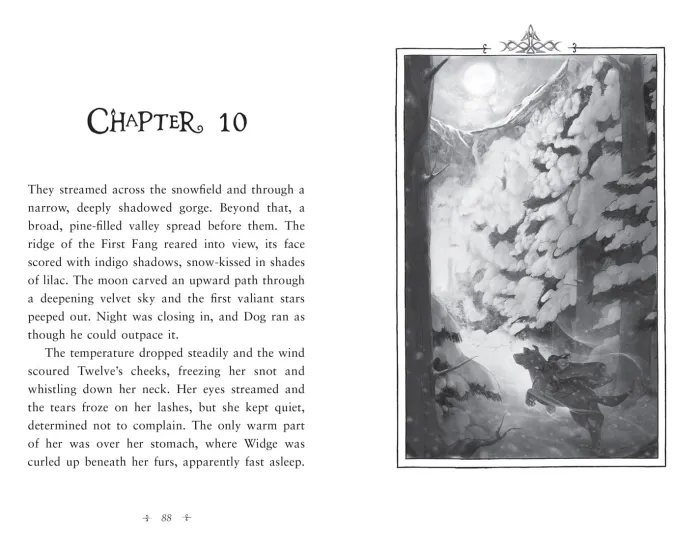 Fireborn: Twelve and the Frozen Forest