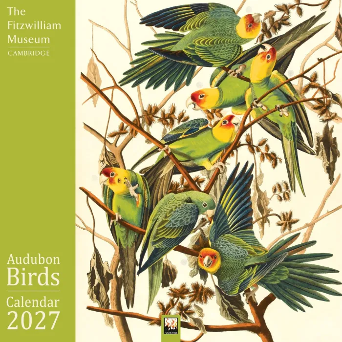 Fitzwilliam Museum: Audubon Birds Wall Calendar 2027 (Art Calendar)
