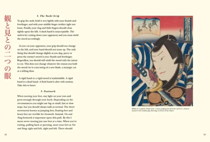 Five Rings Illustrated: The Classic Text on Mastery in Swordsmanship, Leadership and Conflict: A New Translation