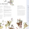Flower Fairies to Cut out and Collage: Over 500 Timeless Illustrations to Inspire Creativity