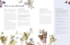 Flower Fairies to Cut out and Collage: Over 500 Timeless Illustrations to Inspire Creativity