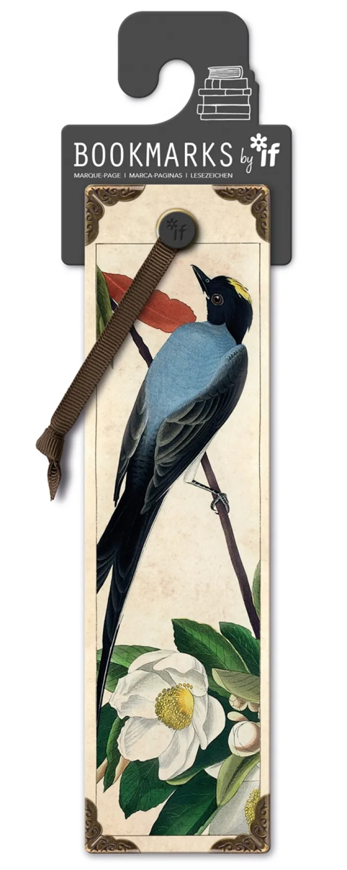 Flycatcher